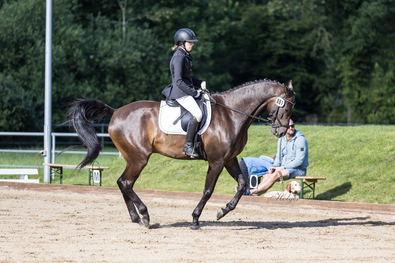 Bild 224 - Pony Akademie Turnier